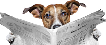 LENAREISEN Newsletter
