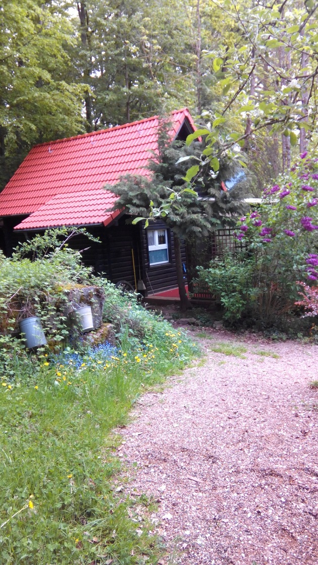 Ferienhaus für Urlaub mit Hund in Deutschland Lenareisen