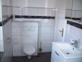 Kleiner Waldbungalow