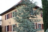 Sonnenschein