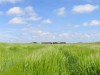 Ab in die Sommerferien! Luxuslücken in Schleswig-Holstein