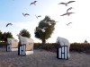 Natur pur - Bungalow an der Ostsee hat noch Termine im Sommer 26 frei