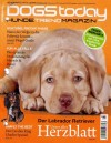 Presseerwähnung DOGS today Mai 2011